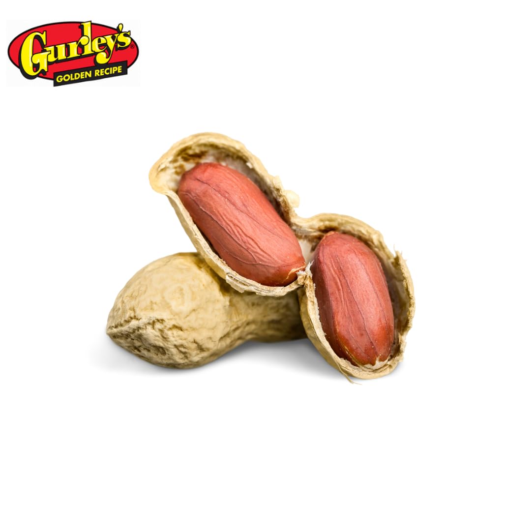 Roasted & Salted Peanuts in Shell 6 oz (12-Pack) Q8707
