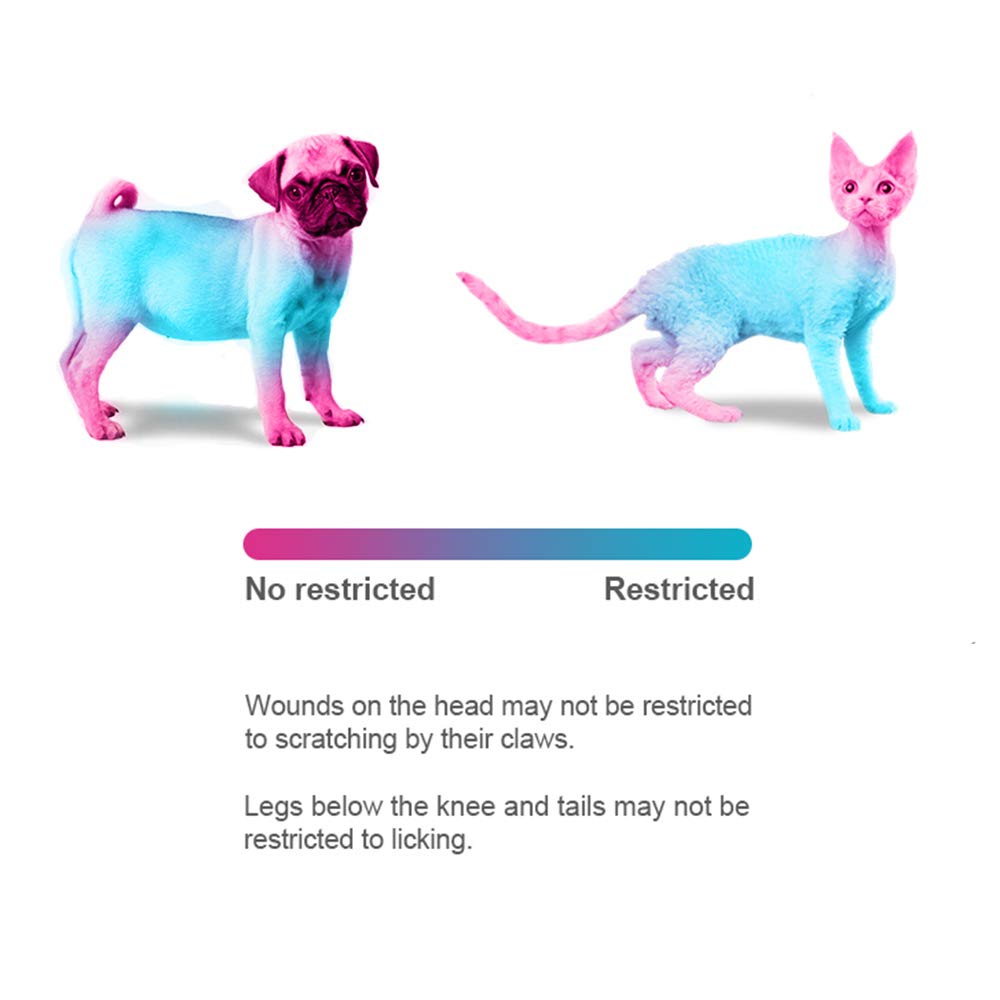 Adjustable Soft Recovery Collar for Pets V859