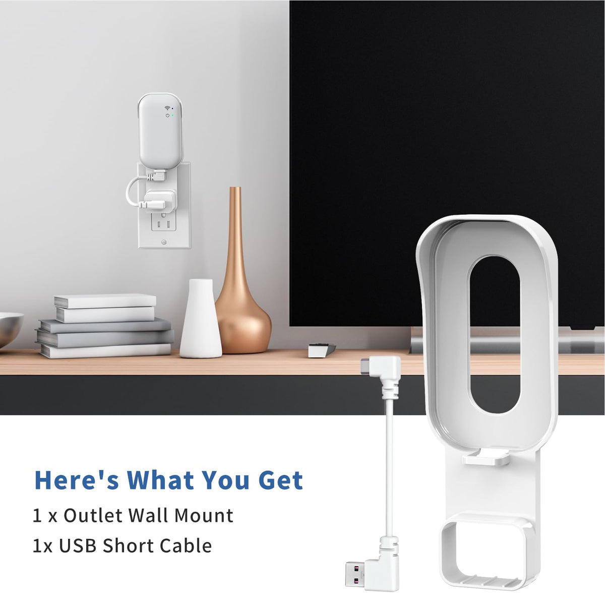 Wall Mount Bracket with Short Cable P259103