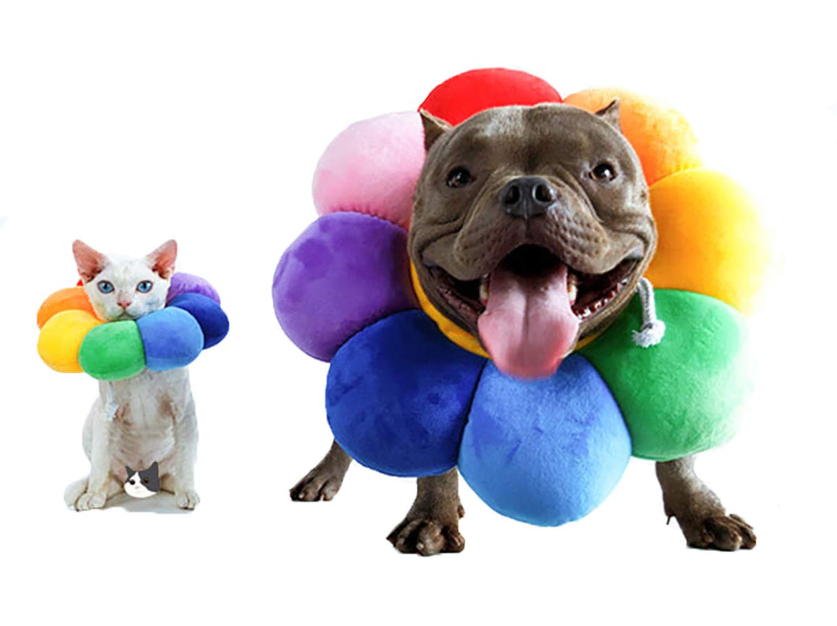 Adjustable Soft Recovery Collar for Pets V859