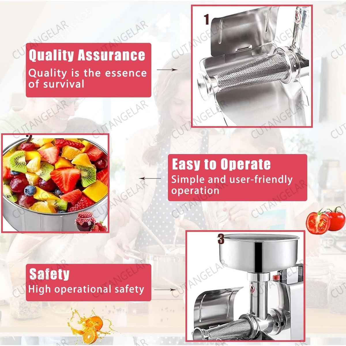 450W Electric Tomato Strainer with Seed Separator H92529
