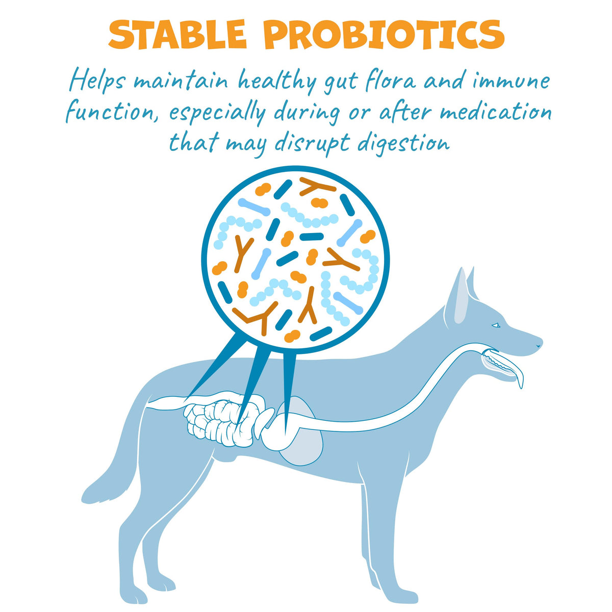 Probiotic Bacon Pill Wrap for Dogs 4.2oz Z9781