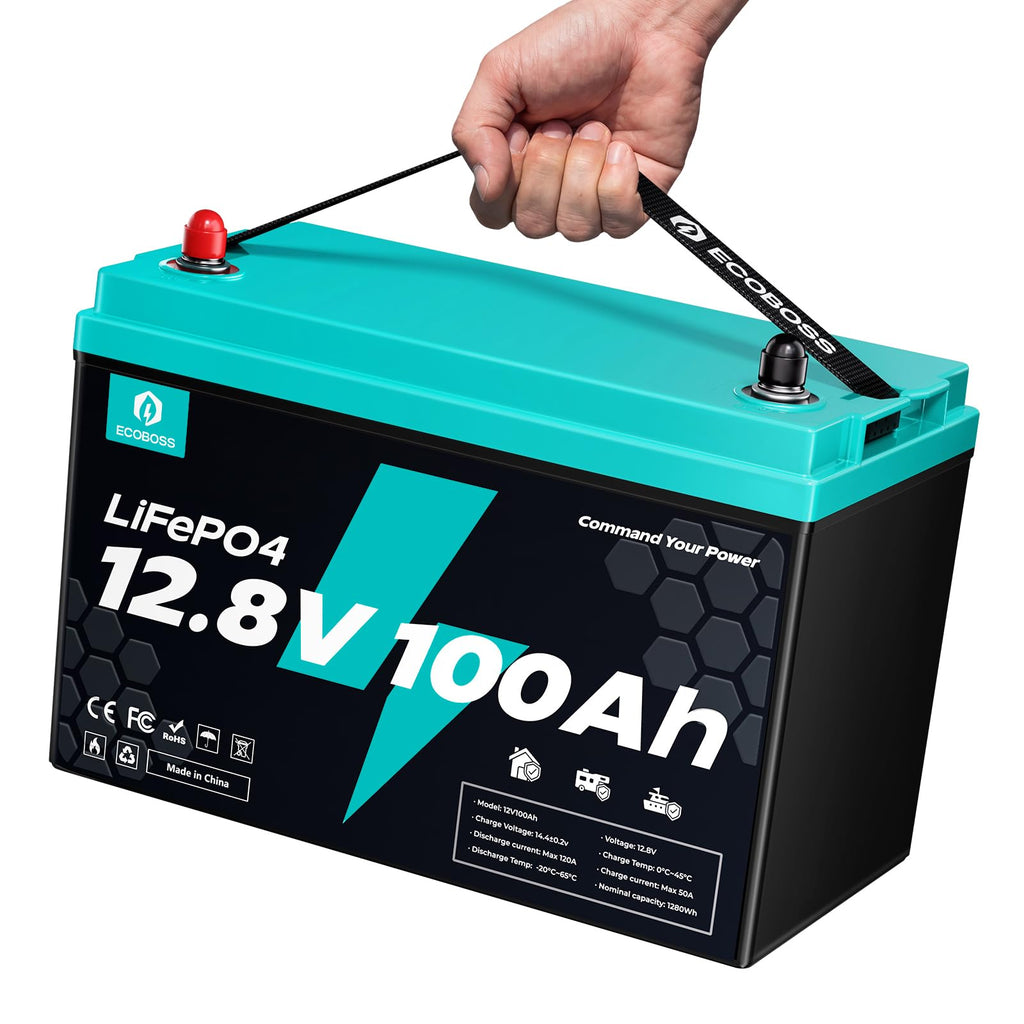 12V 100Ah LiFePO4 Deep Cycle Lithium Battery X80897
