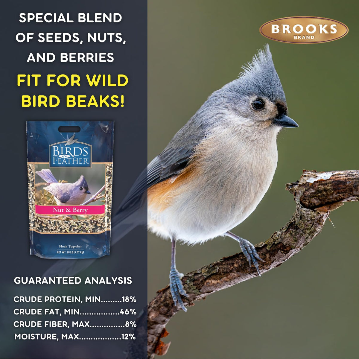 Nut and Berry Bird Seed T872774