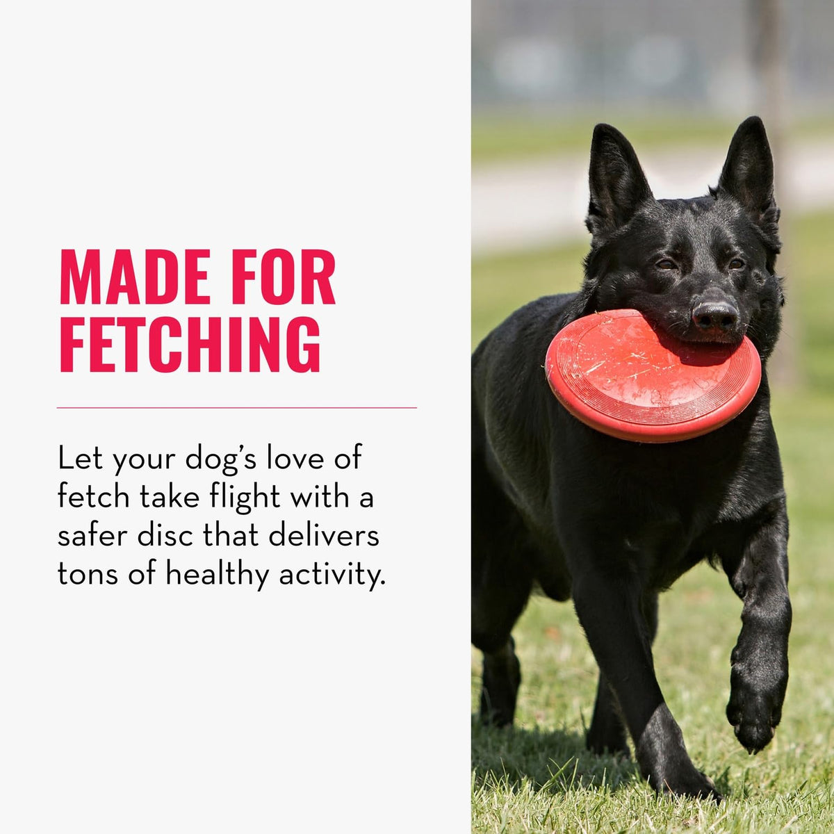 Natural Rubber Flying Disc Fetch Toy M9530