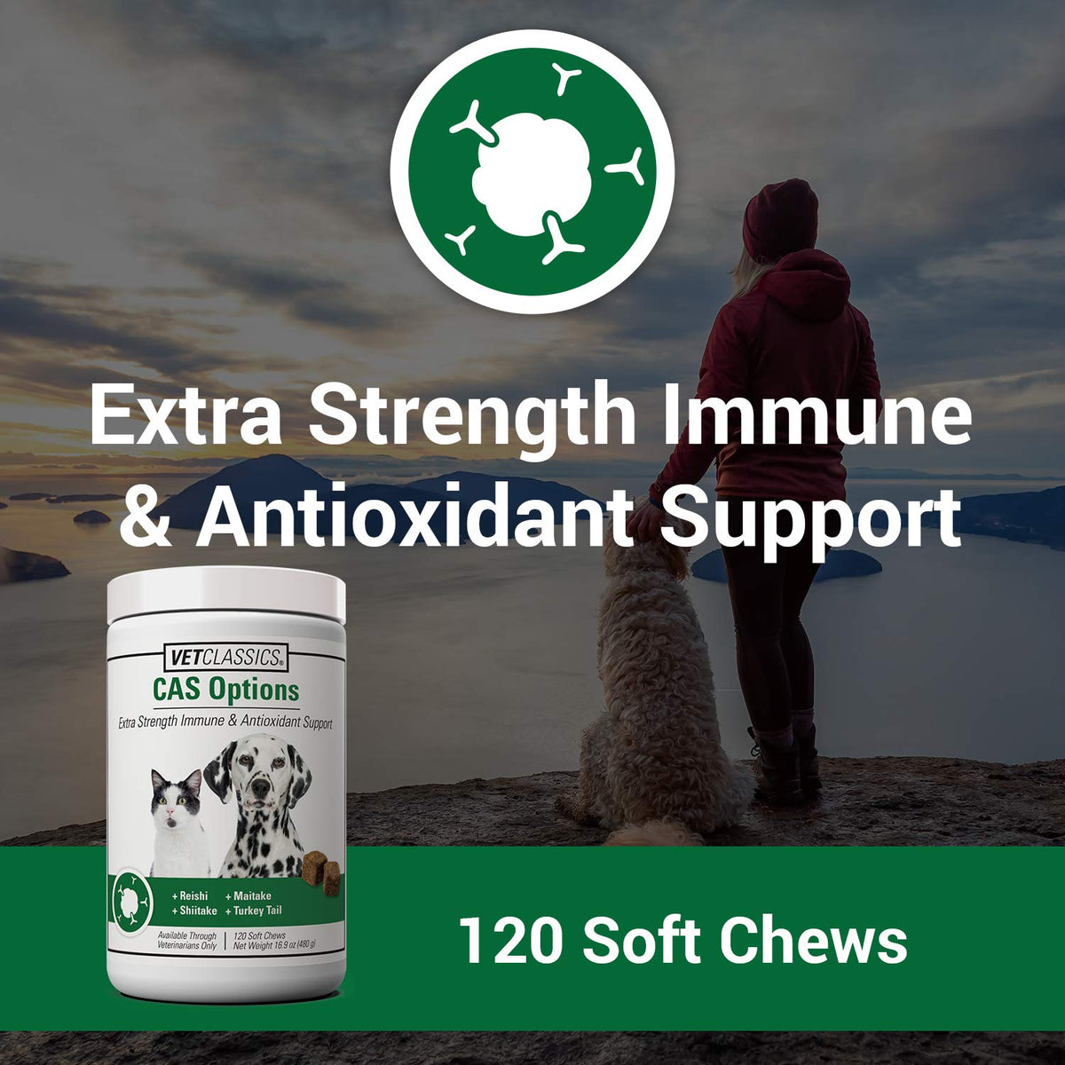 Immune Support Supplement for Dogs 120 Soft Chews Q7578