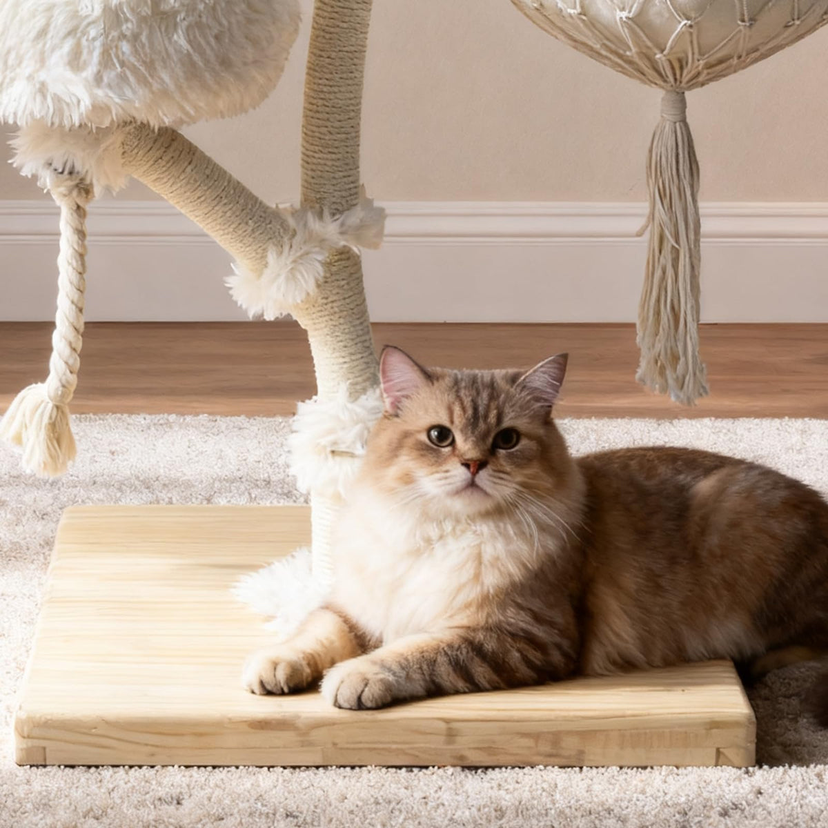 Solid Wooden Cat Tree L493