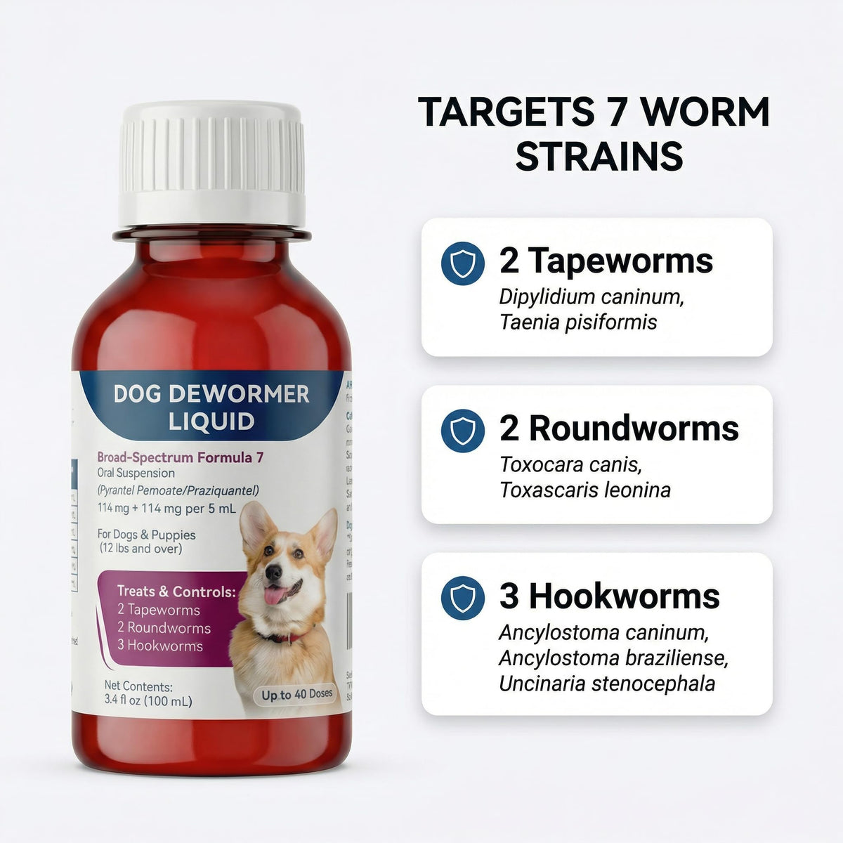 Liquid Dog Dewormer with Dosing Syringe 100ml J85654