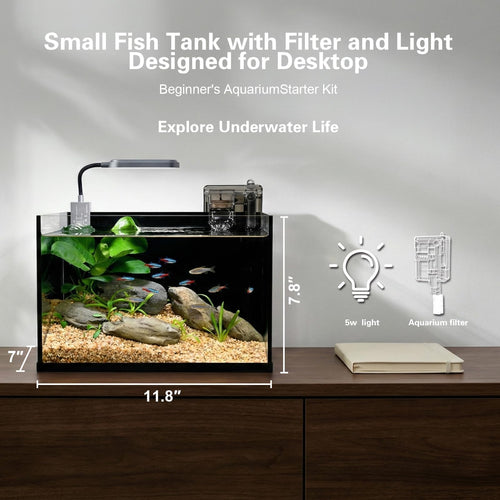 2.8 Gallon Glass Aquarium Starter Kit G996