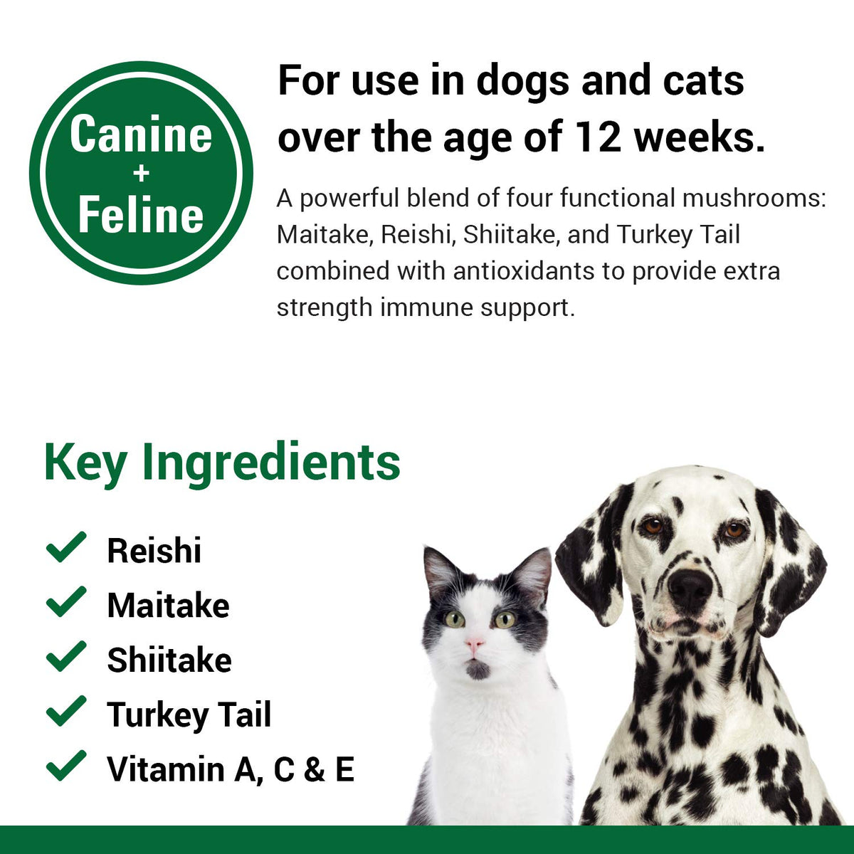 Immune Support Supplement for Dogs 120 Soft Chews Q7578