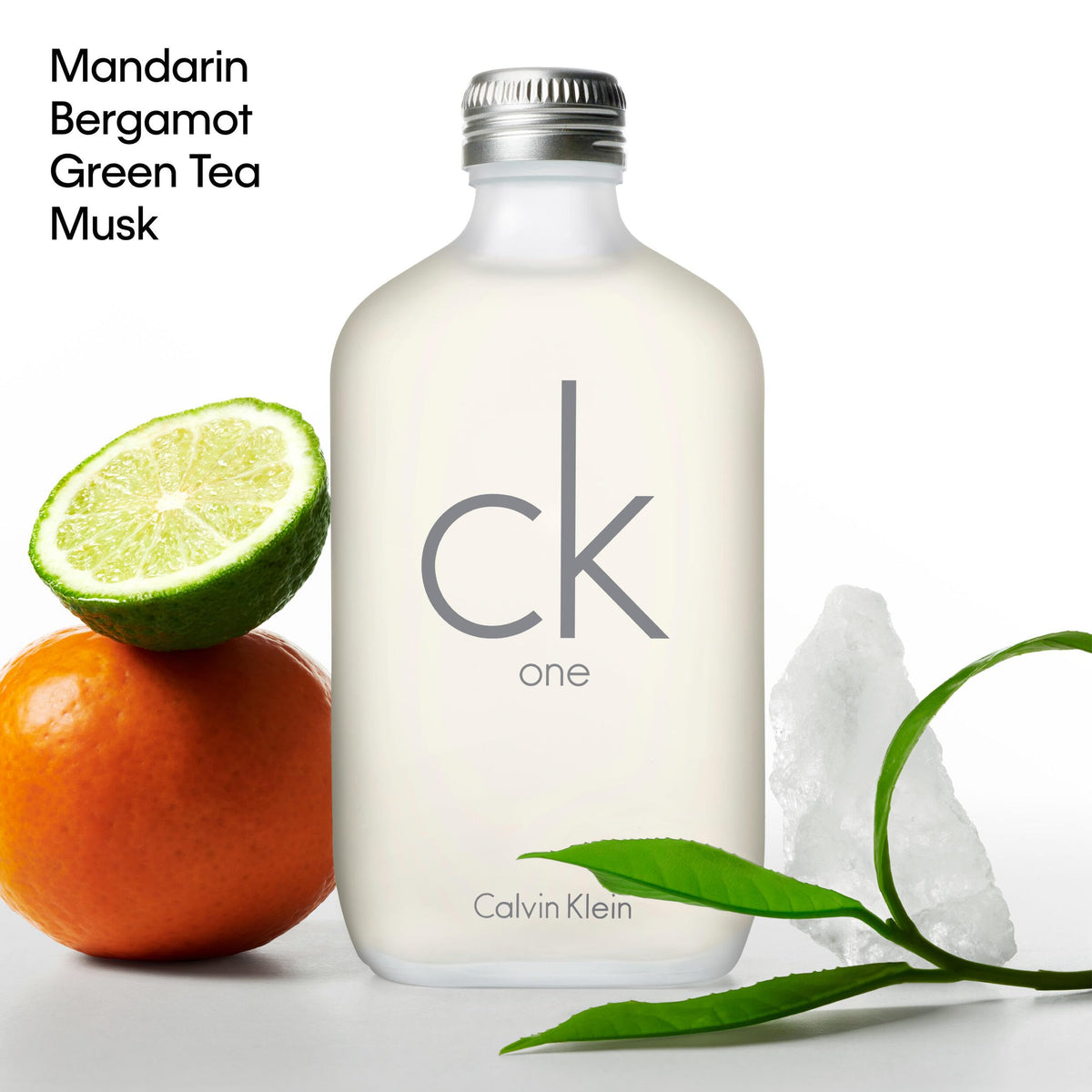 Eau de Toilette Citrus Unisex Fragrance Y219964