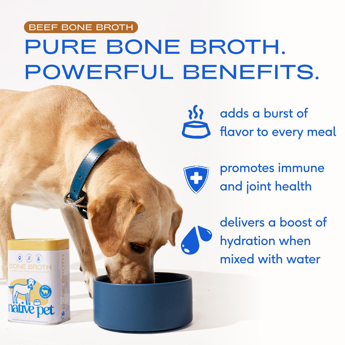 Beef Bone Broth Dog Food Topper B21064