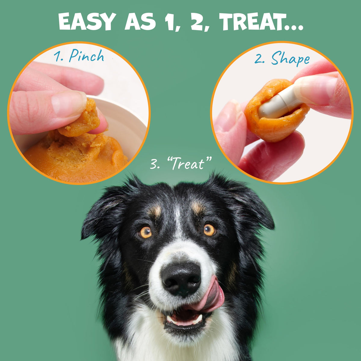 Probiotic Bacon Pill Wrap for Dogs 4.2oz Z9781