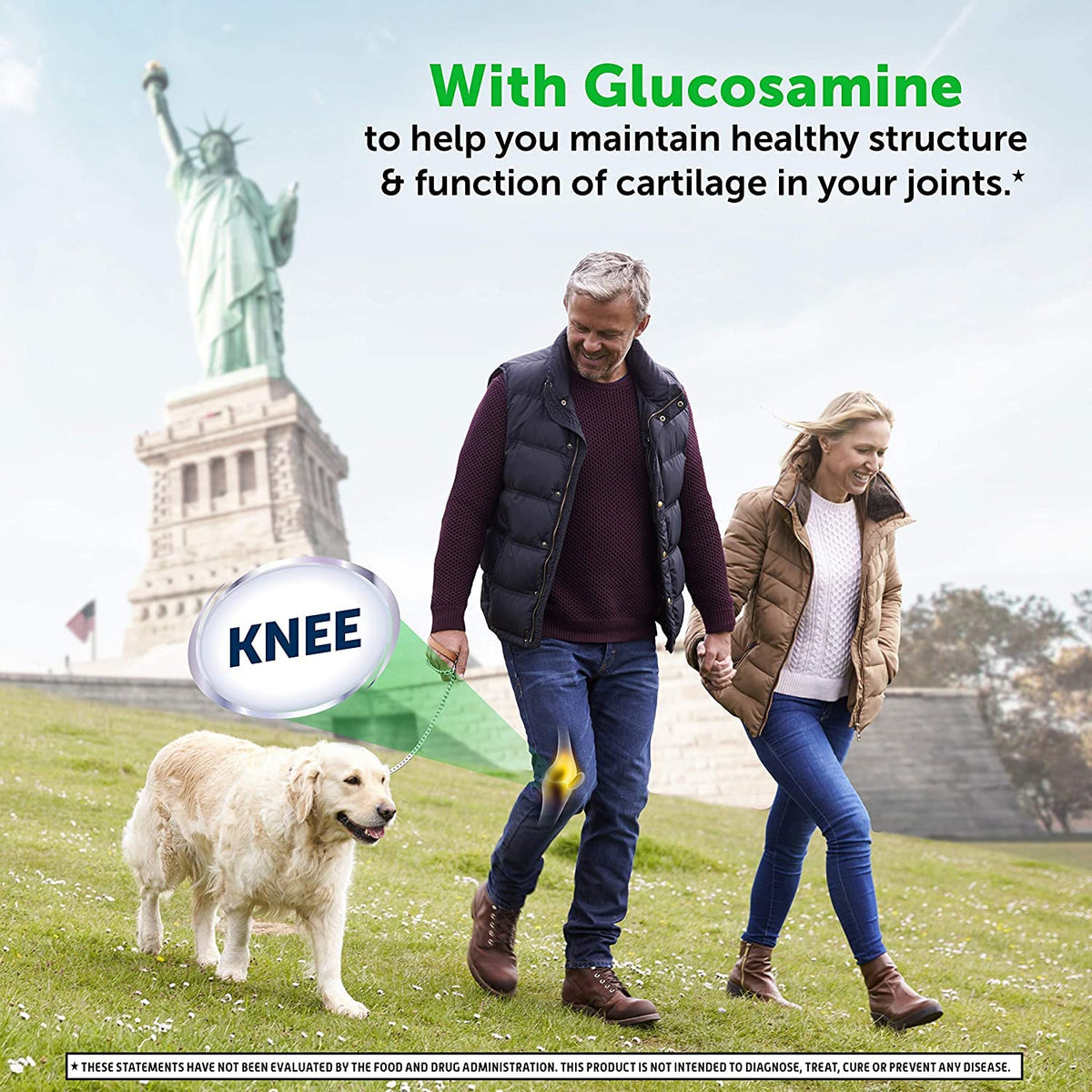 Glucosamine MSM Hyaluronic Acid Joint Supplement A147