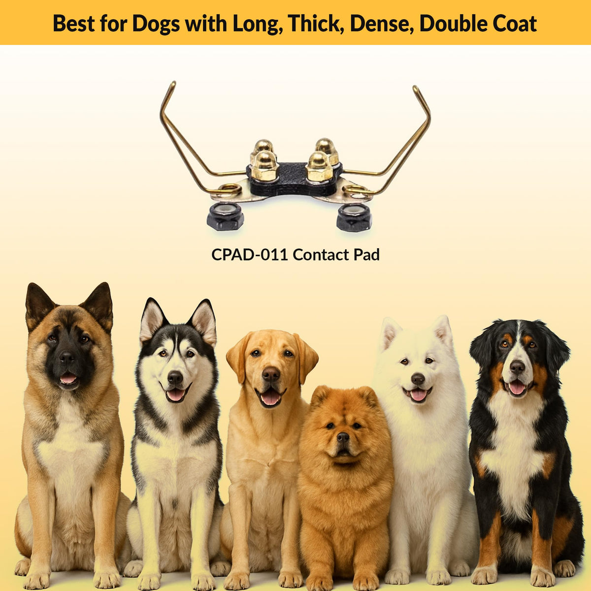 Brass Contact Pads for Training Collars S1602