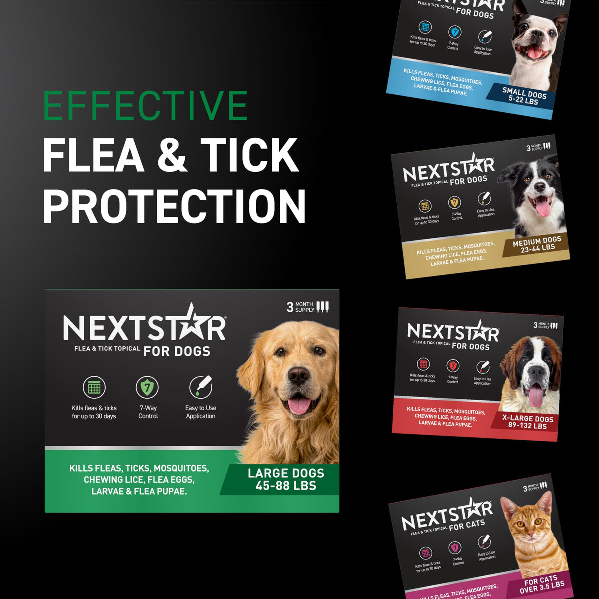Flea & Tick Topical Dogs Large 1-Month V497385