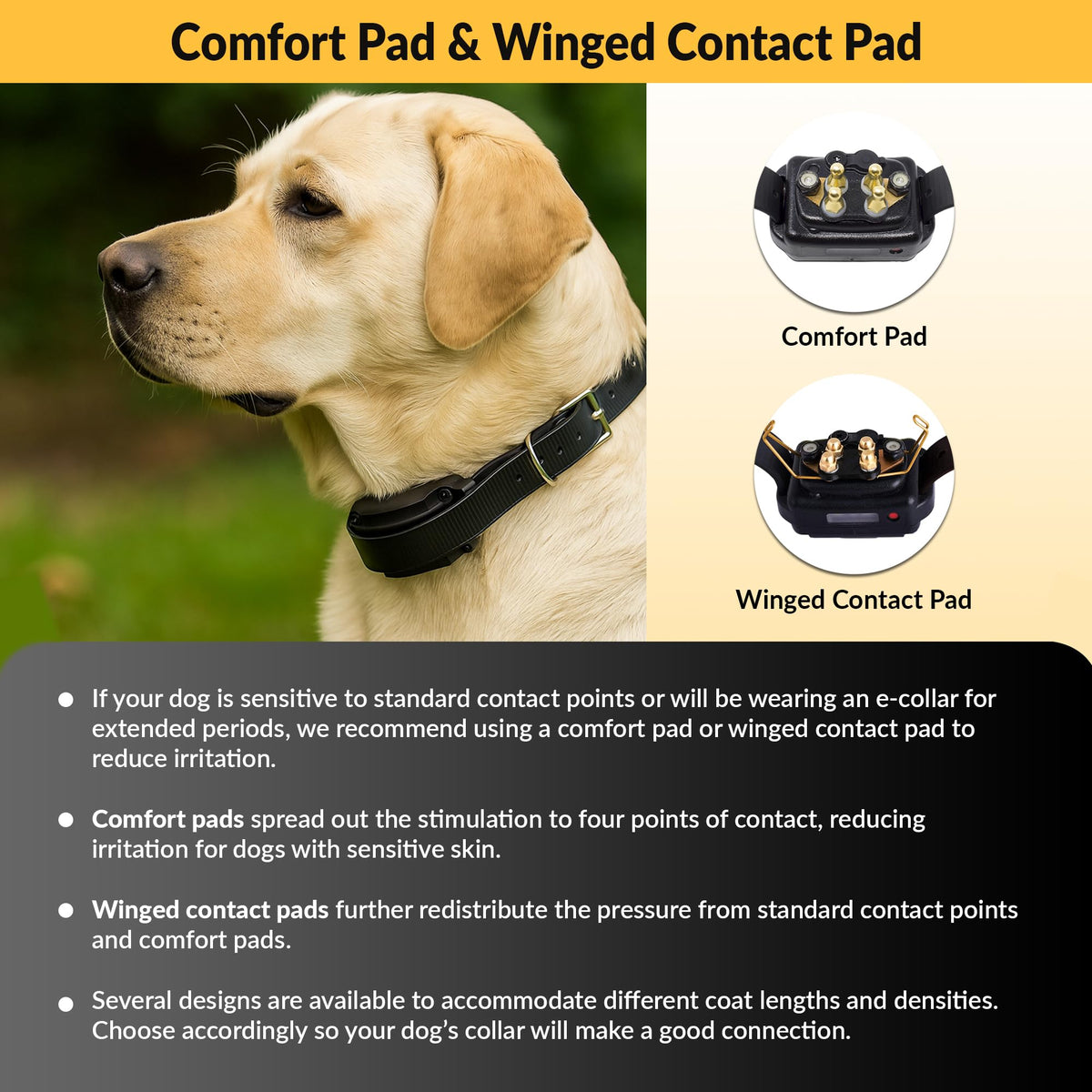 Brass Contact Pads for Training Collars S1602